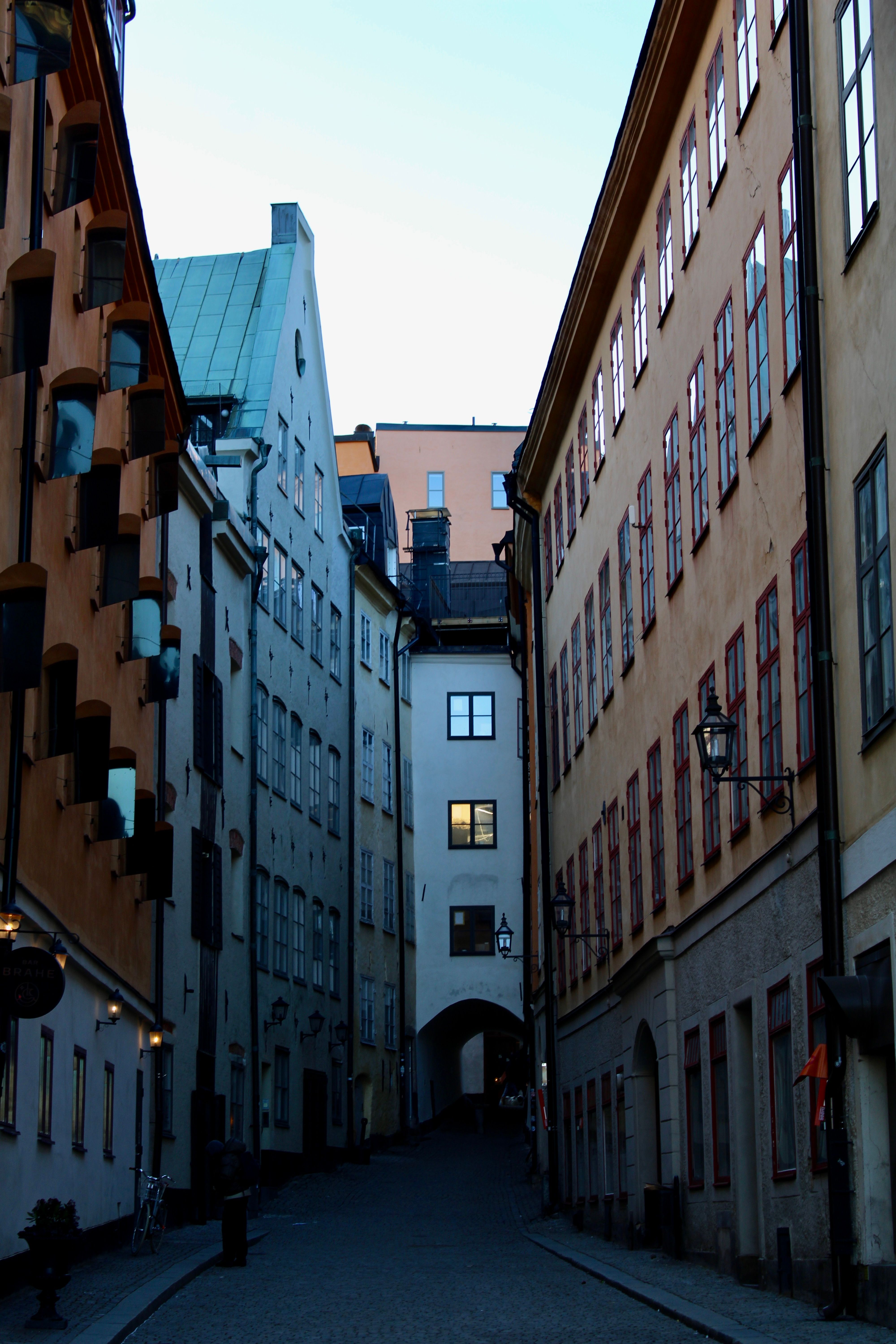 Gallery Image 9