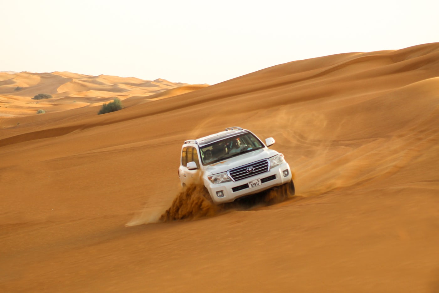 Adventure Desert Safari Tour