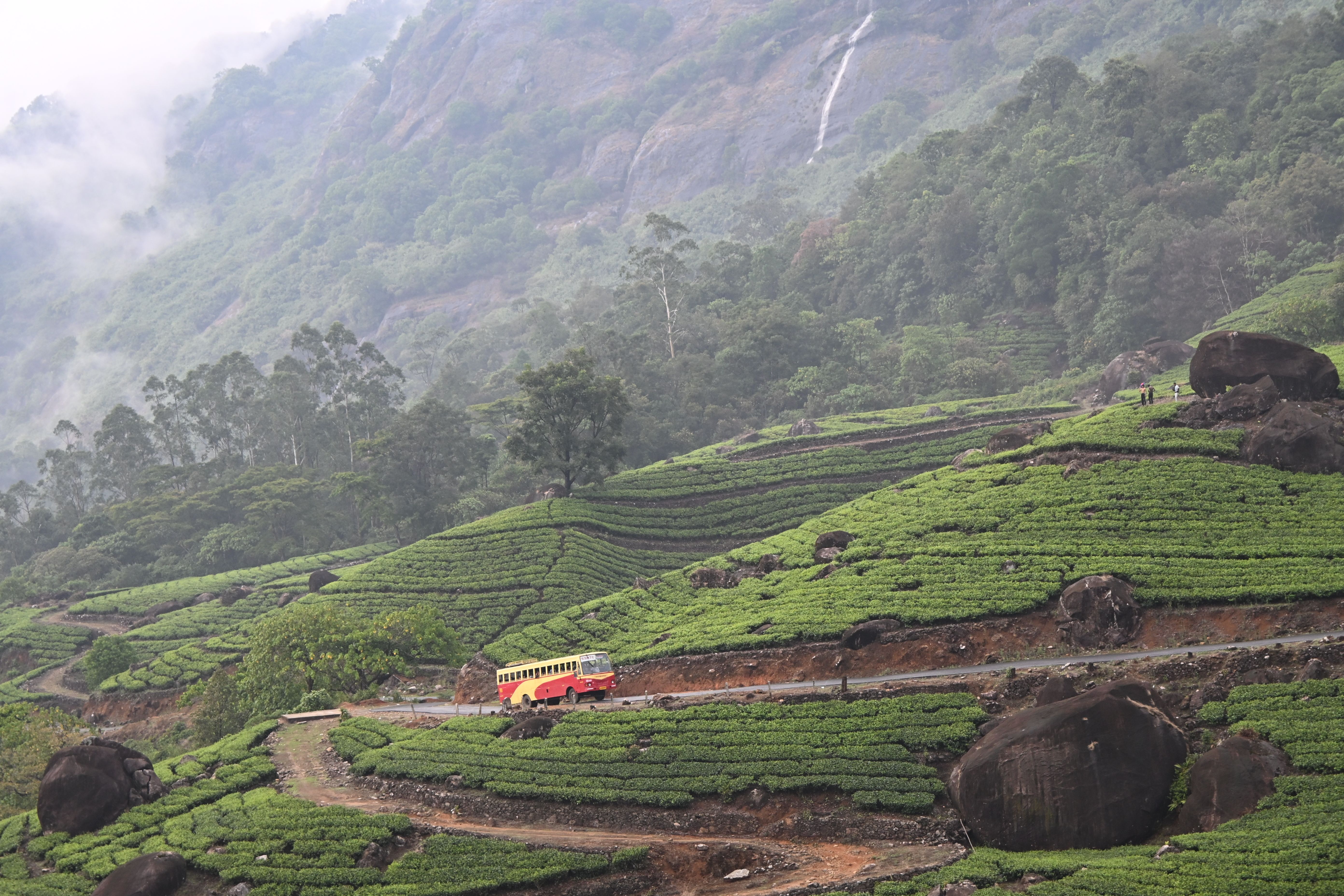 Adventure Munnar-Thekady 