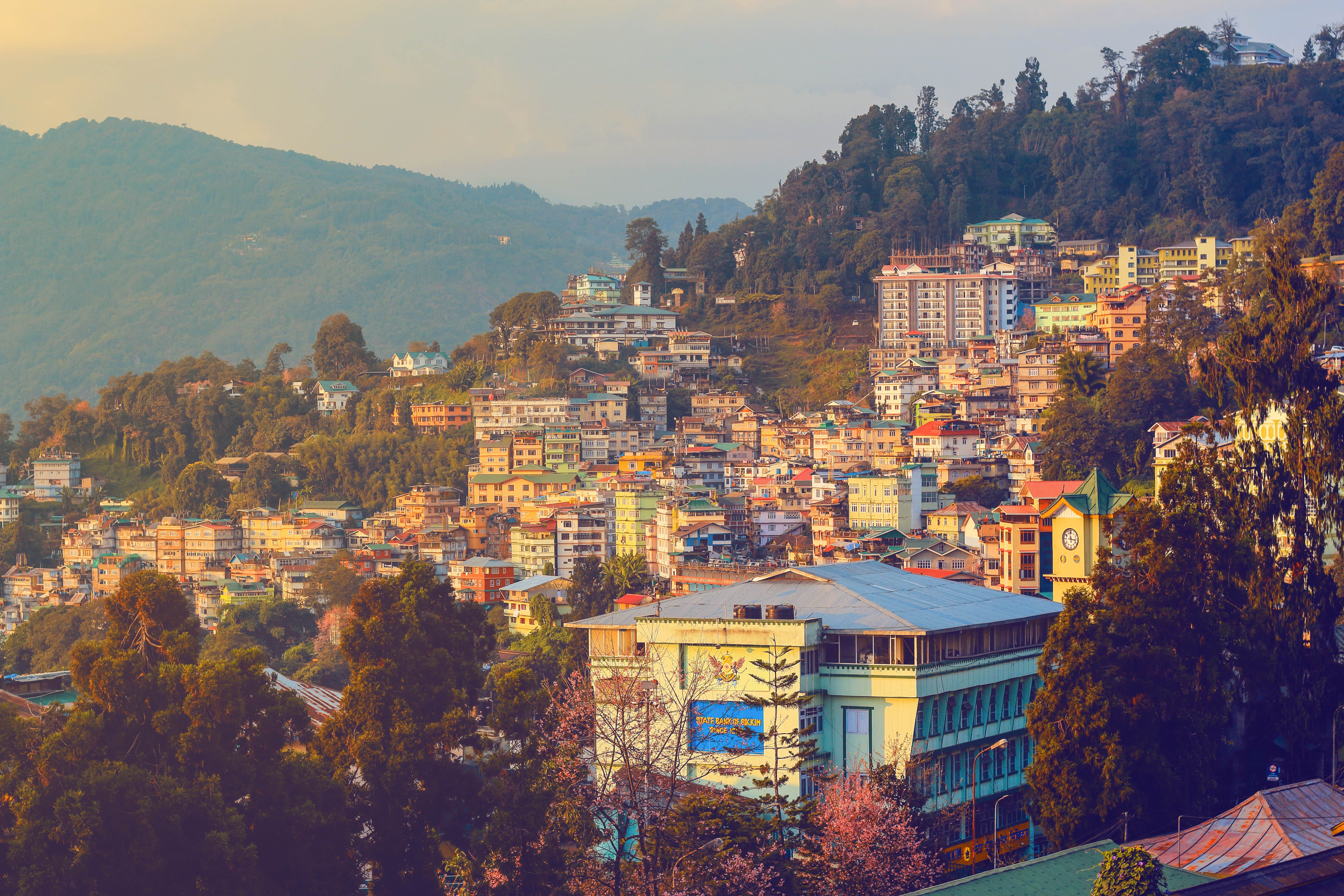 DARJEELING VISIT
