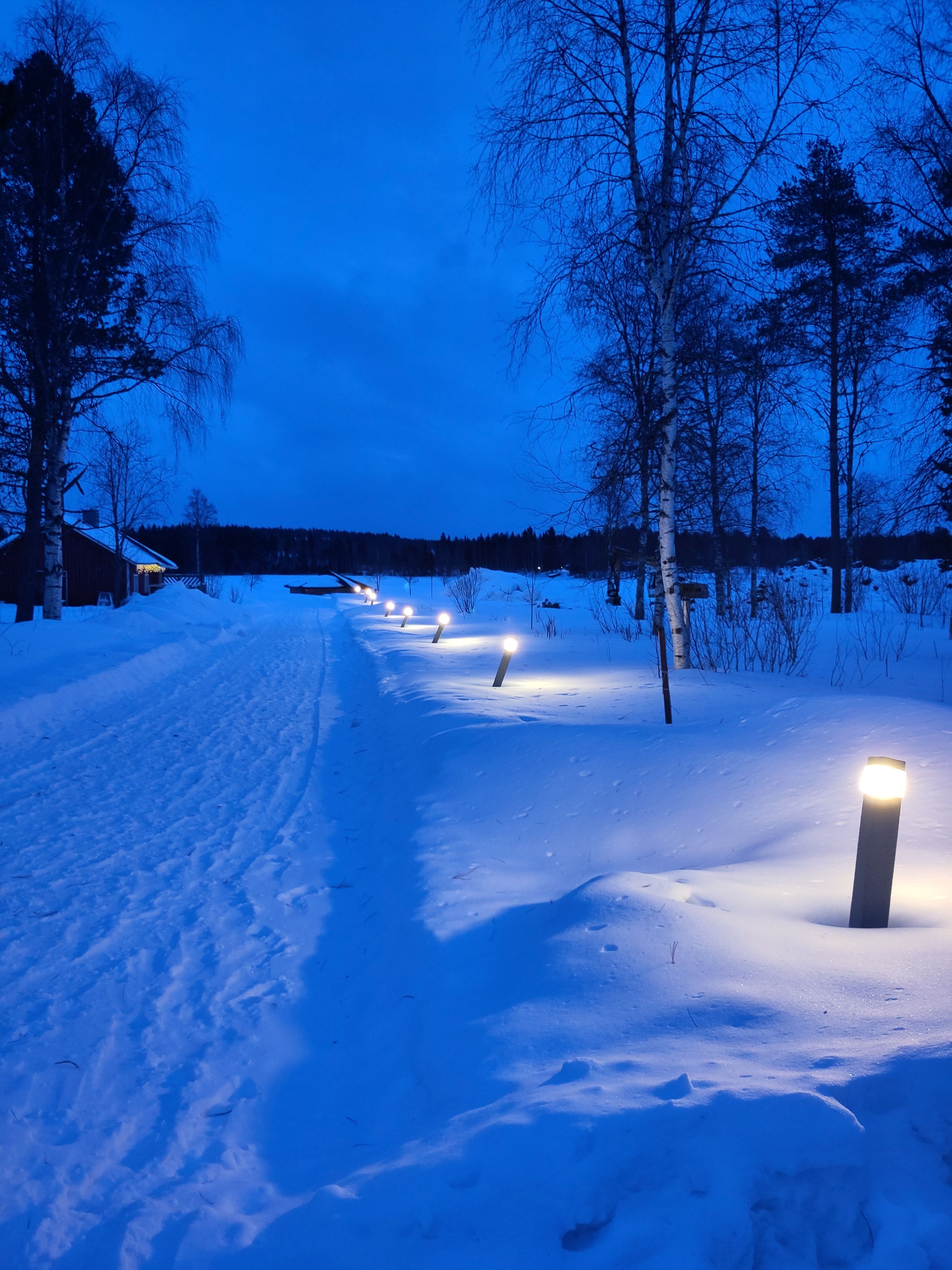 Breathtaking Rovaniemi Tour